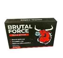 Brutal Force